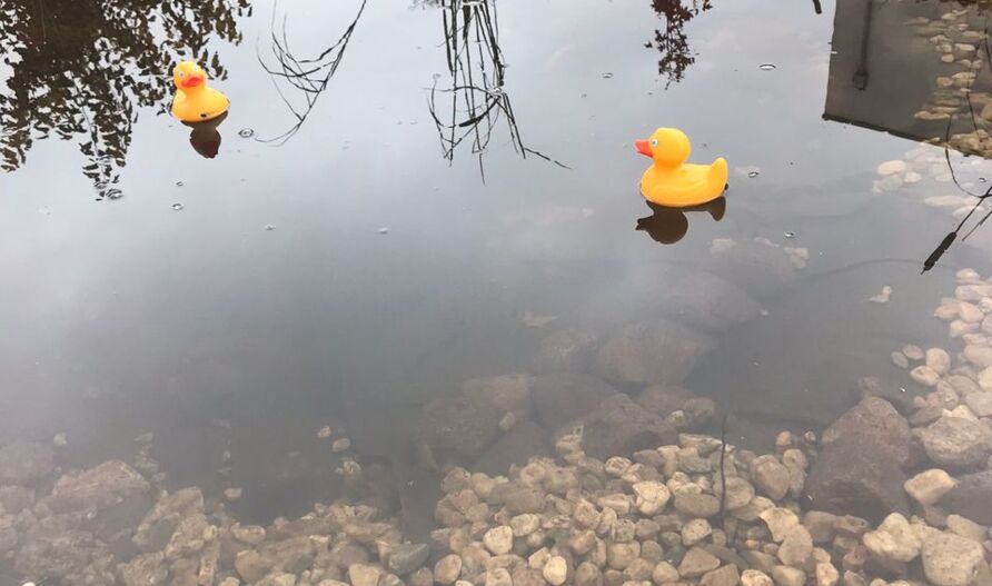 Teichbau im Schaugarten in Berlin-Treptow