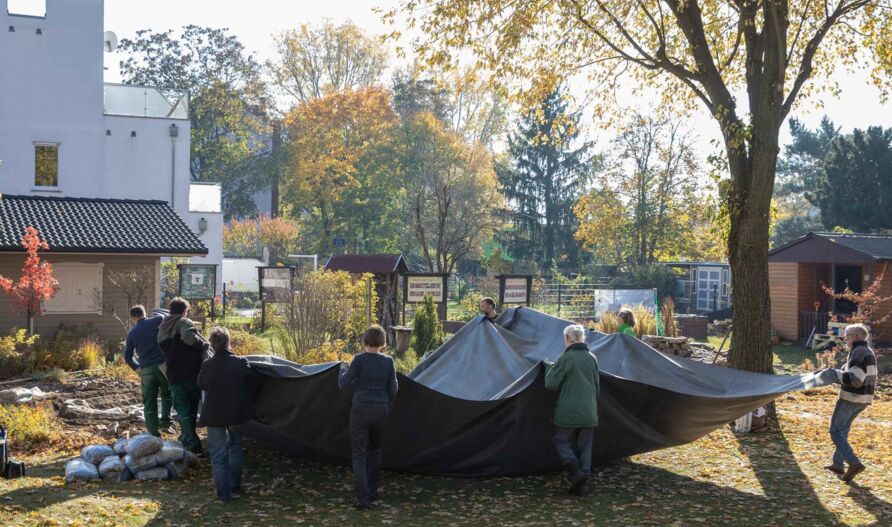 Schaugarten Berlin-Treptow, Teichbau