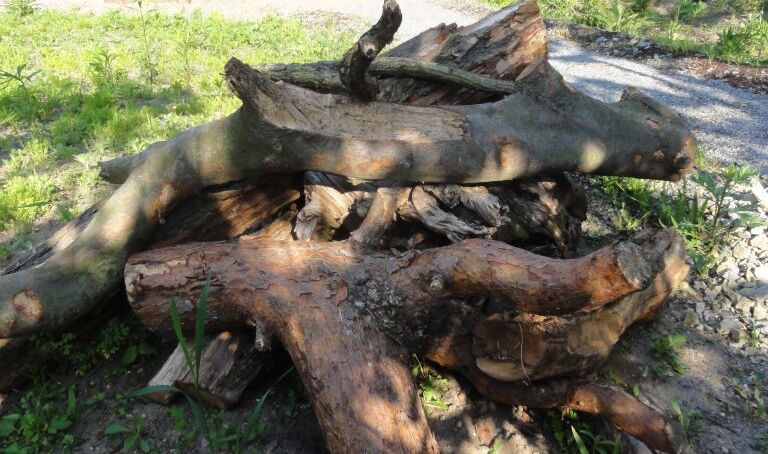 Wenn sie einen Naturgarten anlegen, bitte nicht den Totholzhaufen vergessen.